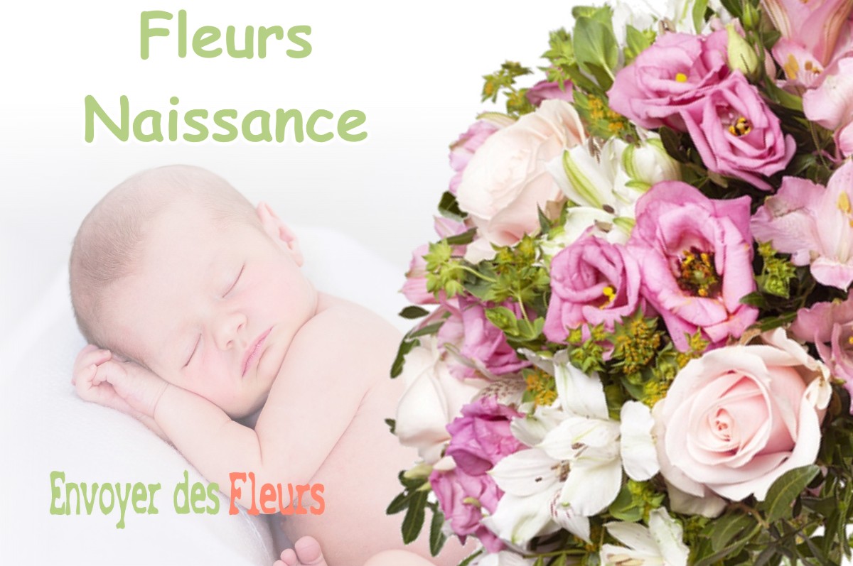 lIVRAISON FLEURS NAISSANCE à SAINT-VINCENT-DE-MERCUZE